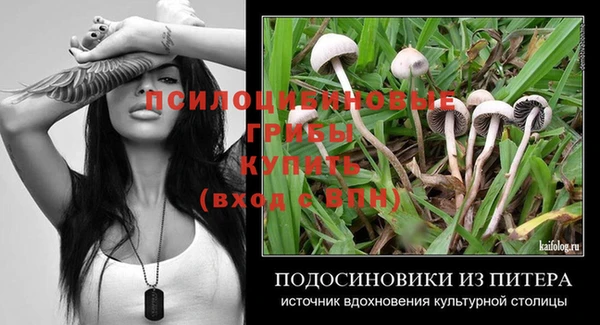 2c-b Бронницы